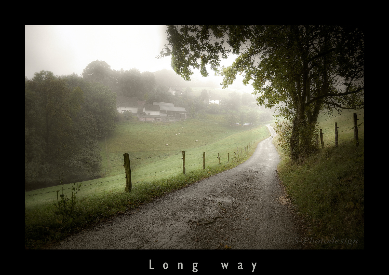 "long way"