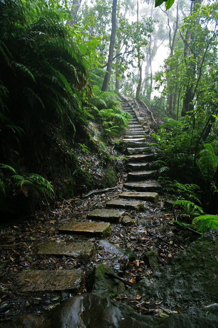 long way from home (tasmania)