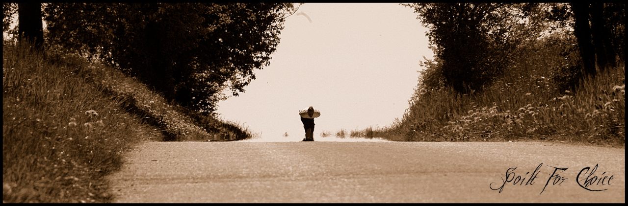 *Longboarding*