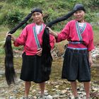 Longhair-Ladies