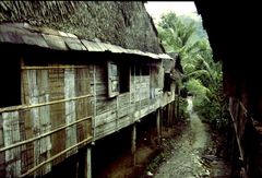 Longhouse in Borneo