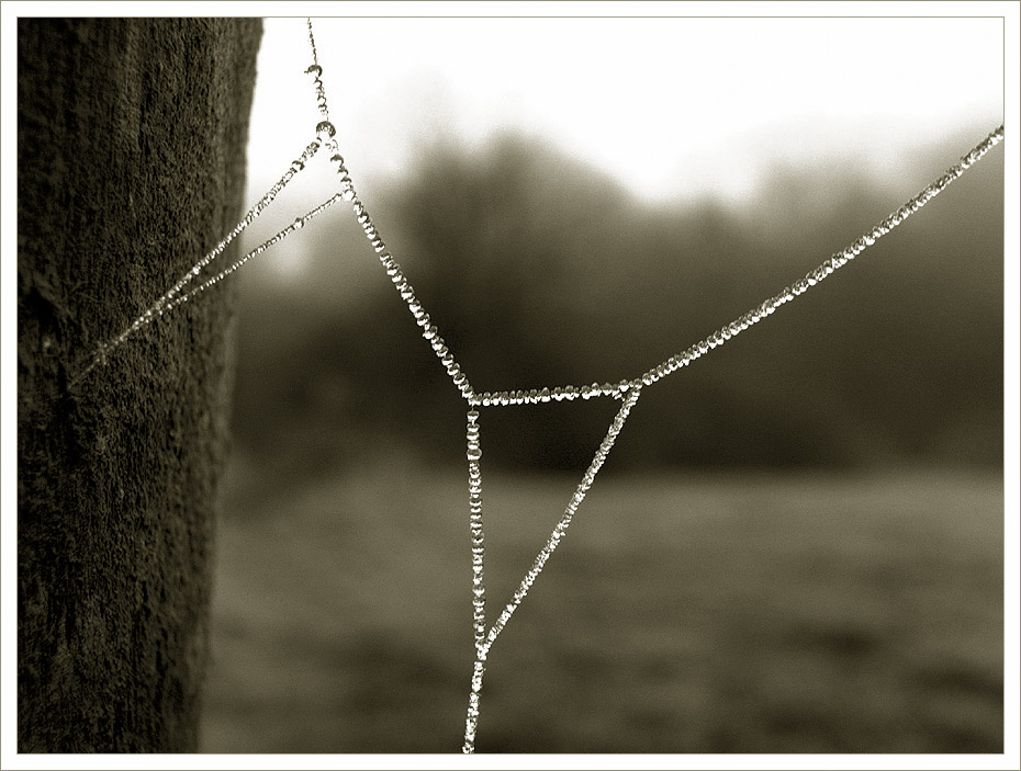 [longing for autumn]