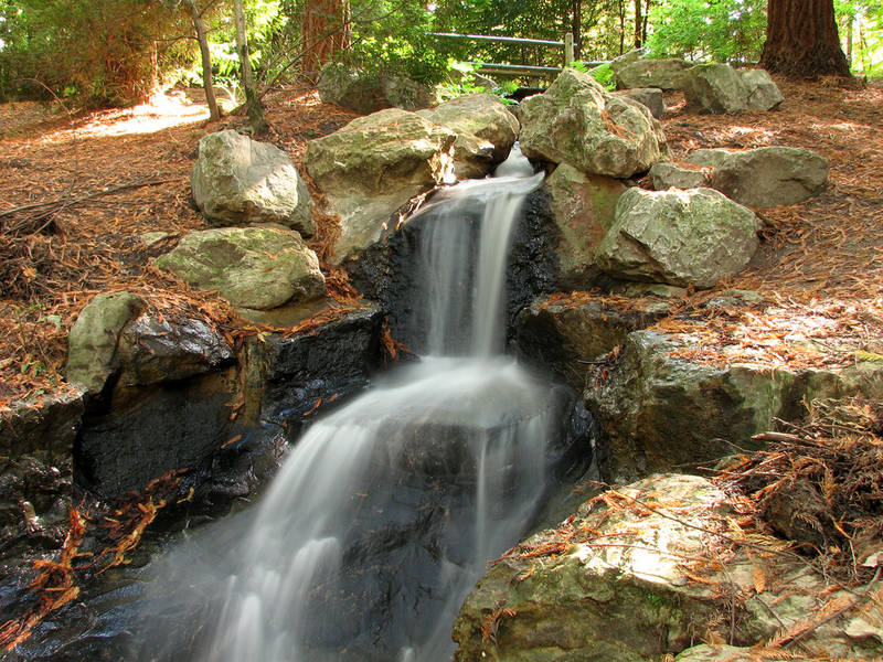 Longleat forest waterfall