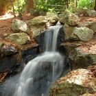 Longleat forest waterfall