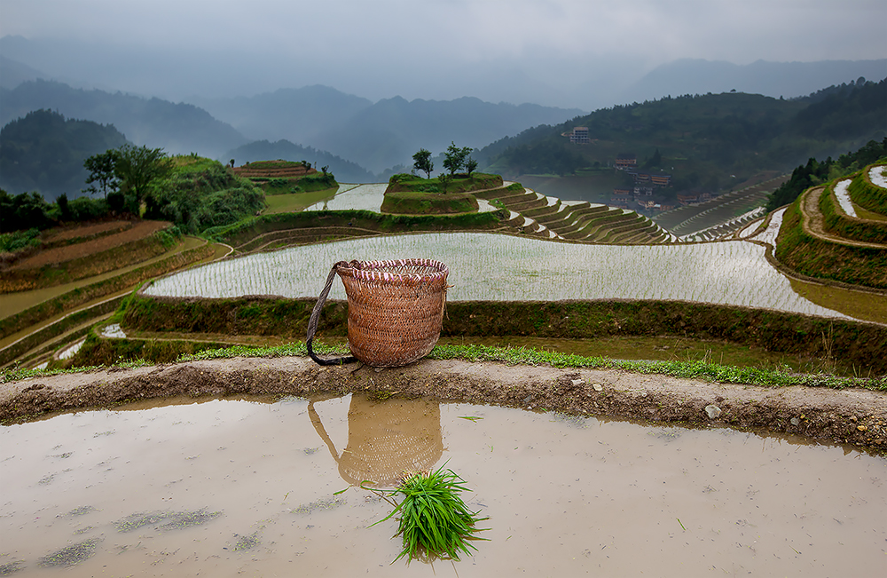 longsheng  Agricultural terrace 