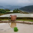 longsheng  Agricultural terrace 