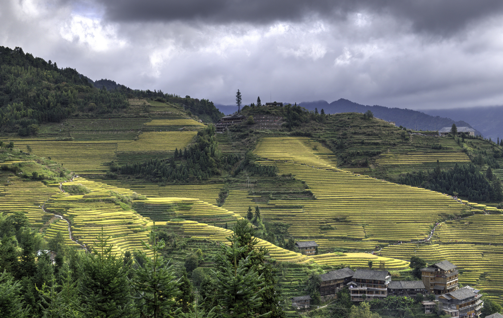 Longsheng Reisterrassen, Guilin