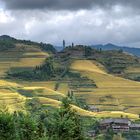 Longsheng Reisterrassen, Guilin