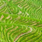 Longsheng Rice teracced fields