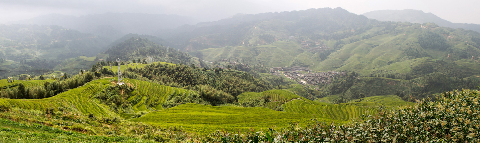 Longsheng Rice Terraces  (LongJi)