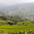 Longsheng Rice Terraces  (LongJi)