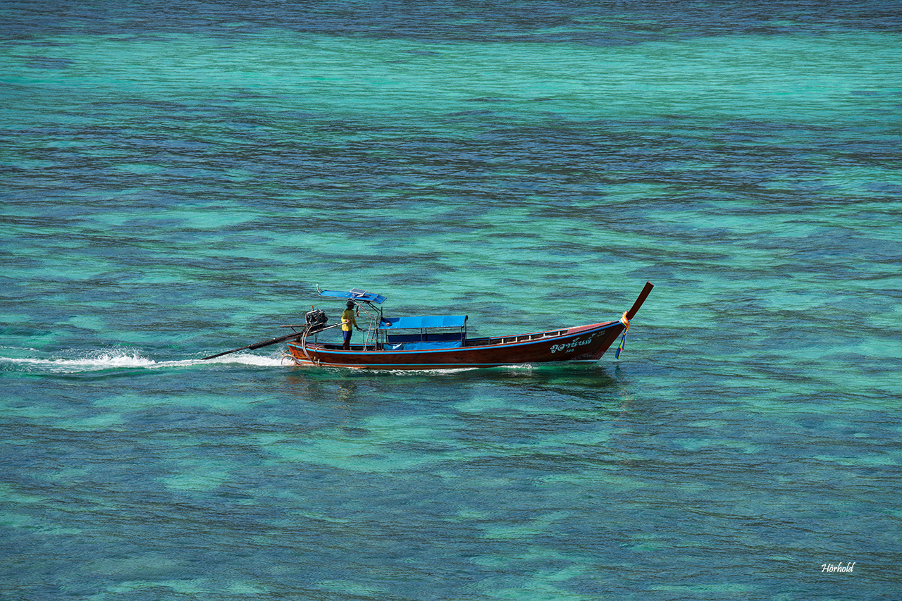 Longtail