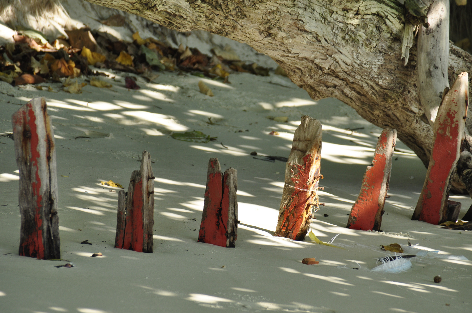 Longtail fragments