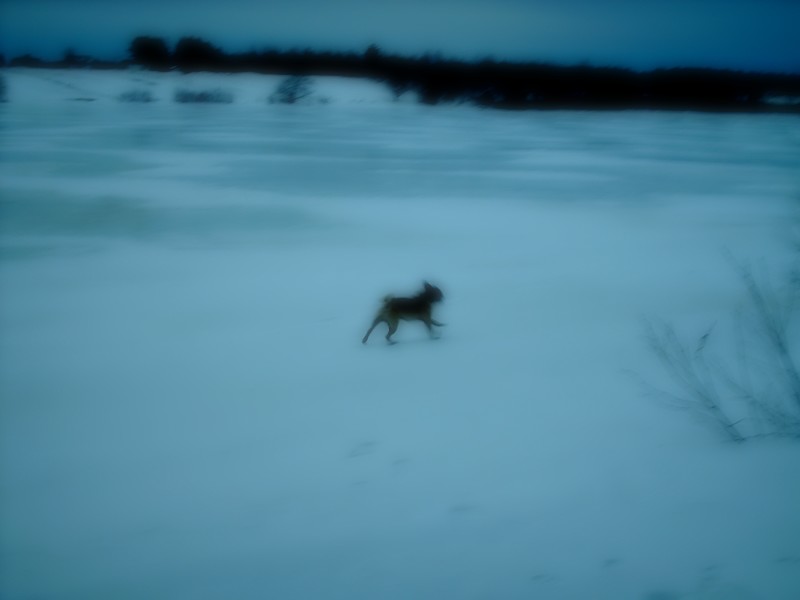 ...Longue Destiné...