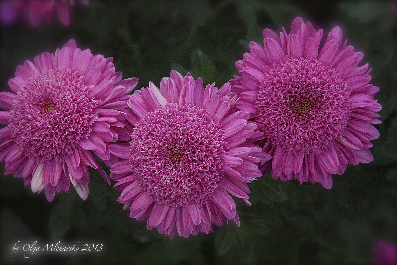 Longwood Gardens