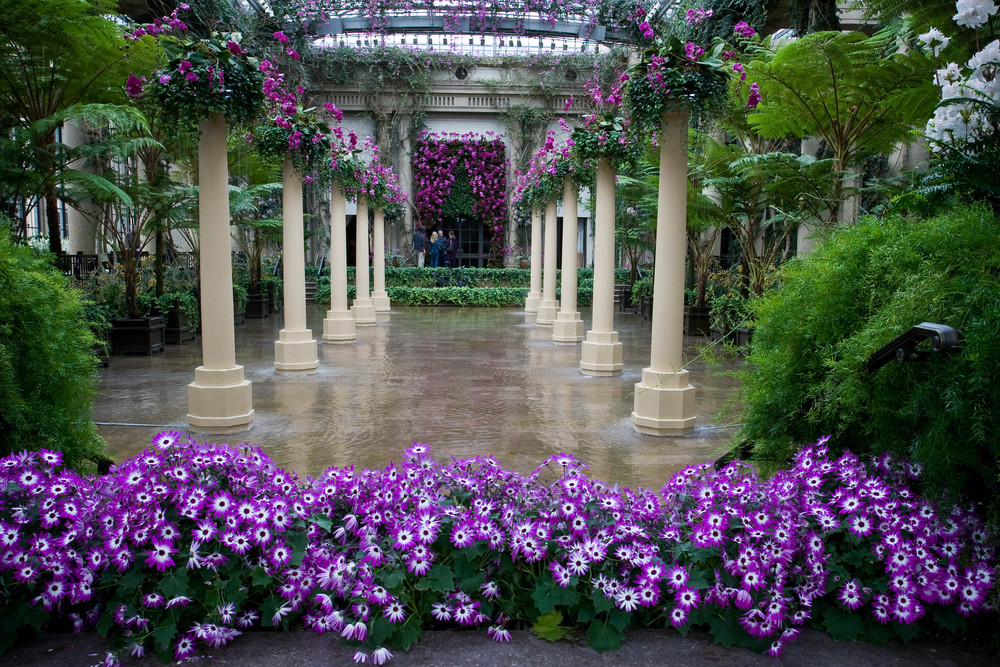 Longwood Gardens, Square, Pennsylvania photo & image north