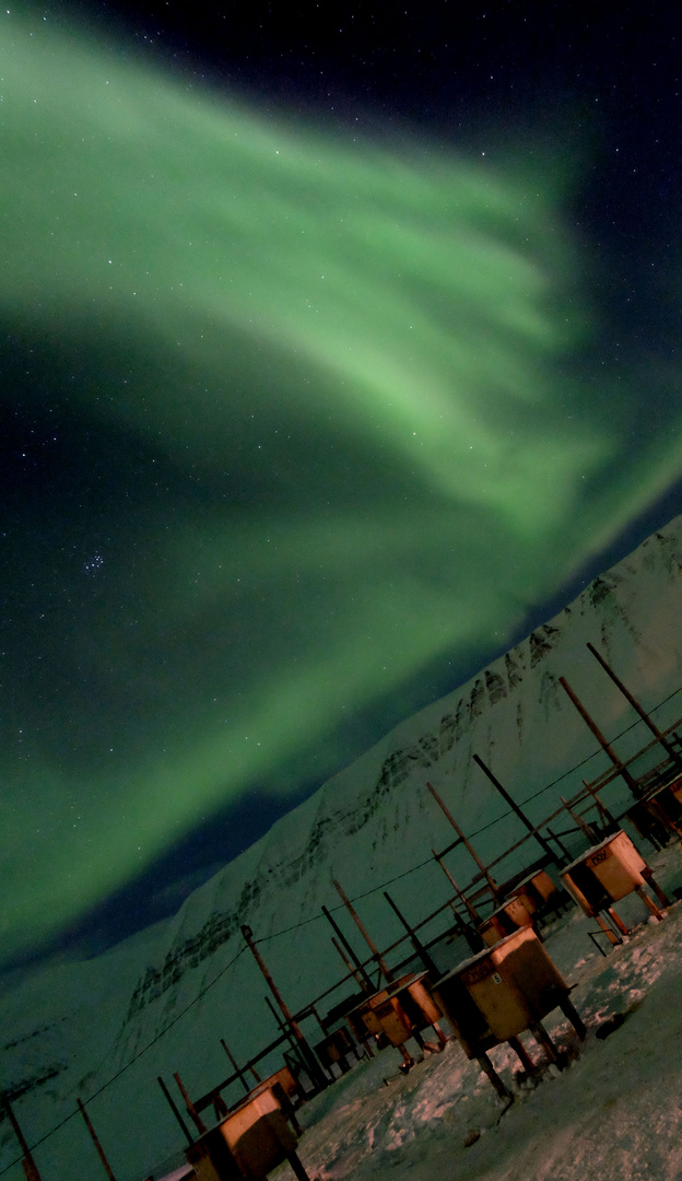 Longyearbyen Hundefarm