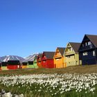 Longyearbyen / Spitsbergen