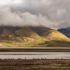 Longyearbyen | Spitzbergen