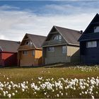 Longyearbyen / Spitzbergen