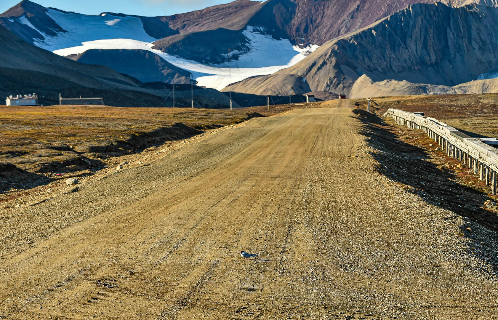 Longyearbyn, Svalbard - Spitzbergen. DSC_6180
