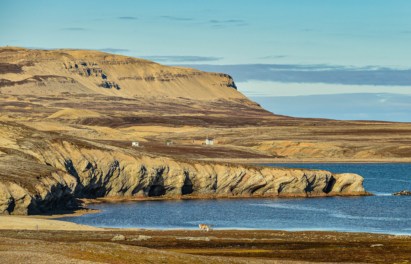 Longyearbyn, Svalbard - Spitzbergen. DSC_6185