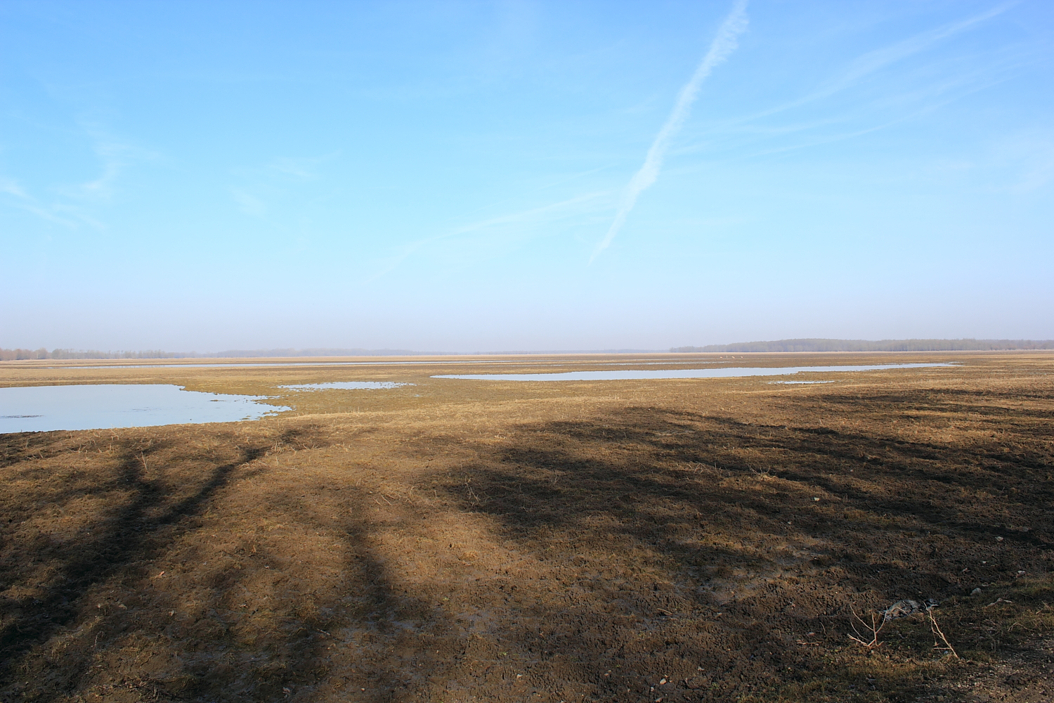 Lonjsko Polje (Naturpark)