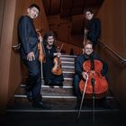 Lontano Quartet (2)