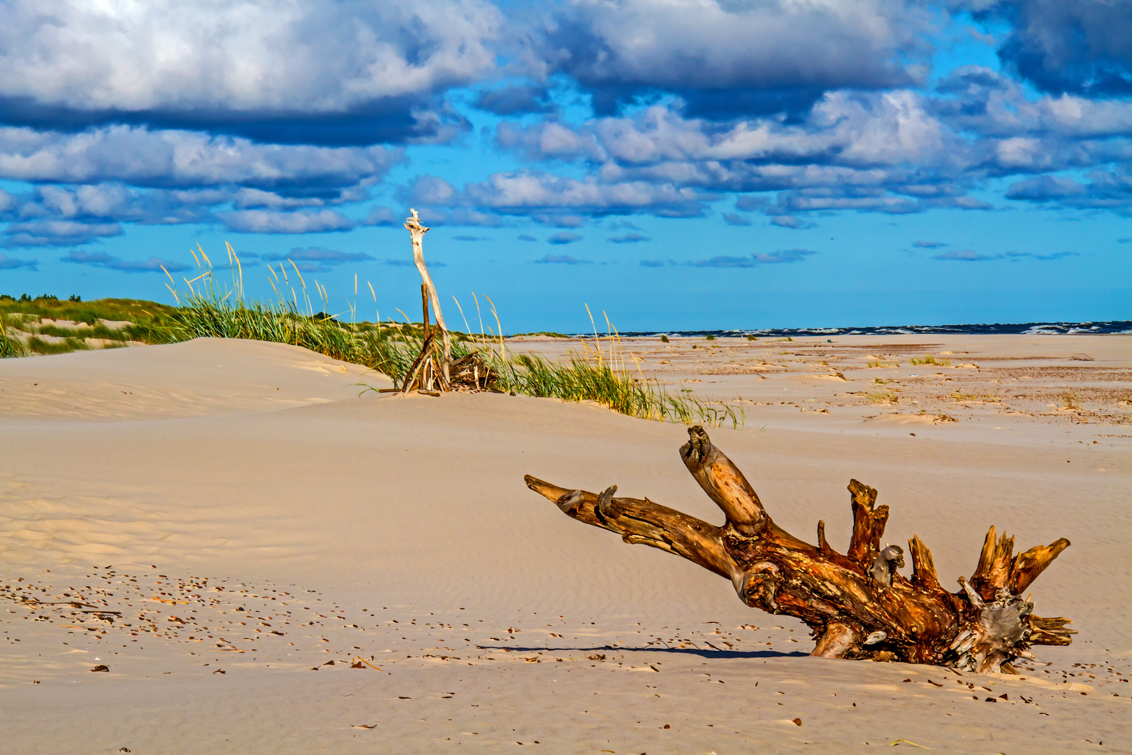 Lontzkedüne Beach