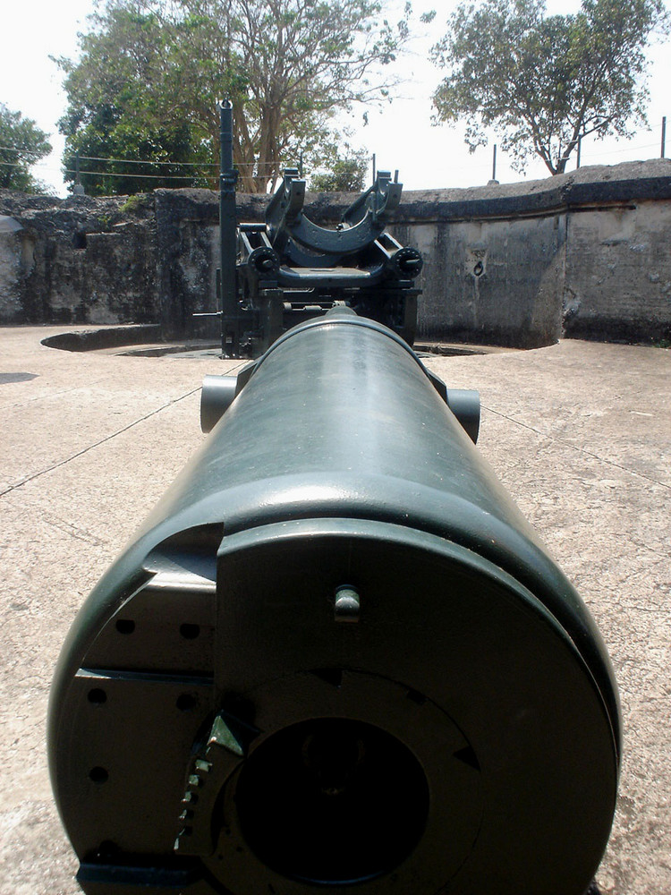 Look Down That Disappearing Gun