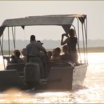 LOOK for the ELEPHANT ... am Okawango