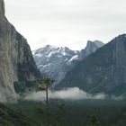 Look into the Yosemite Valley