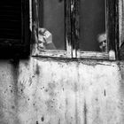 "Look out my window... and see it's gone wrong" di Francesco Marino