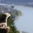 look to river rhine.....