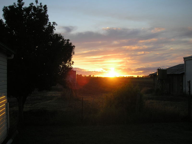 Lookin out my back door