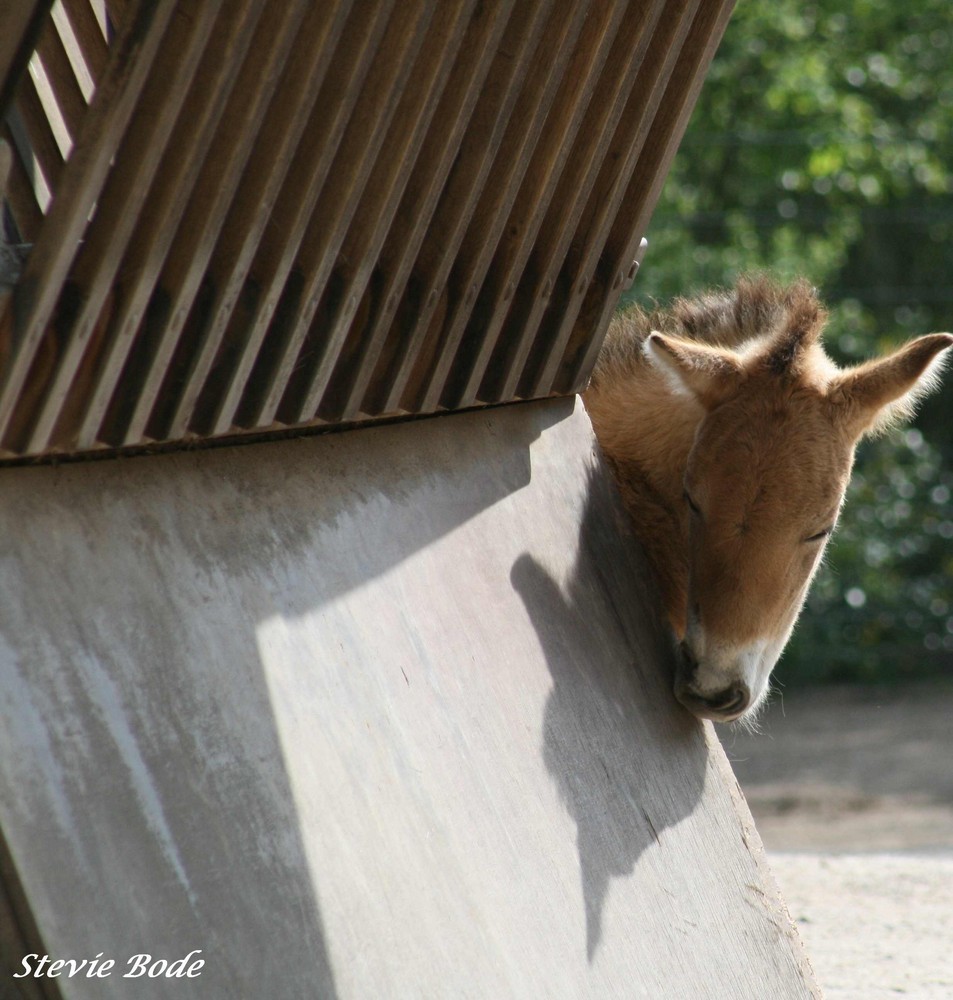 Lookin´ round the corner....