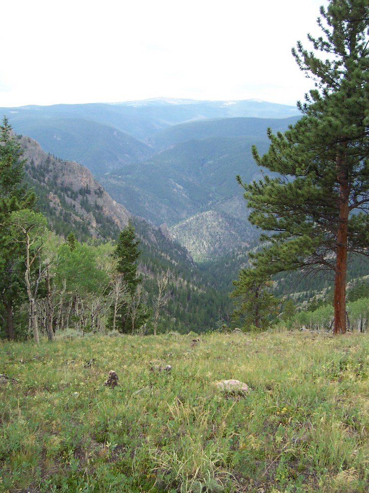 Looking across the Poudre canyon