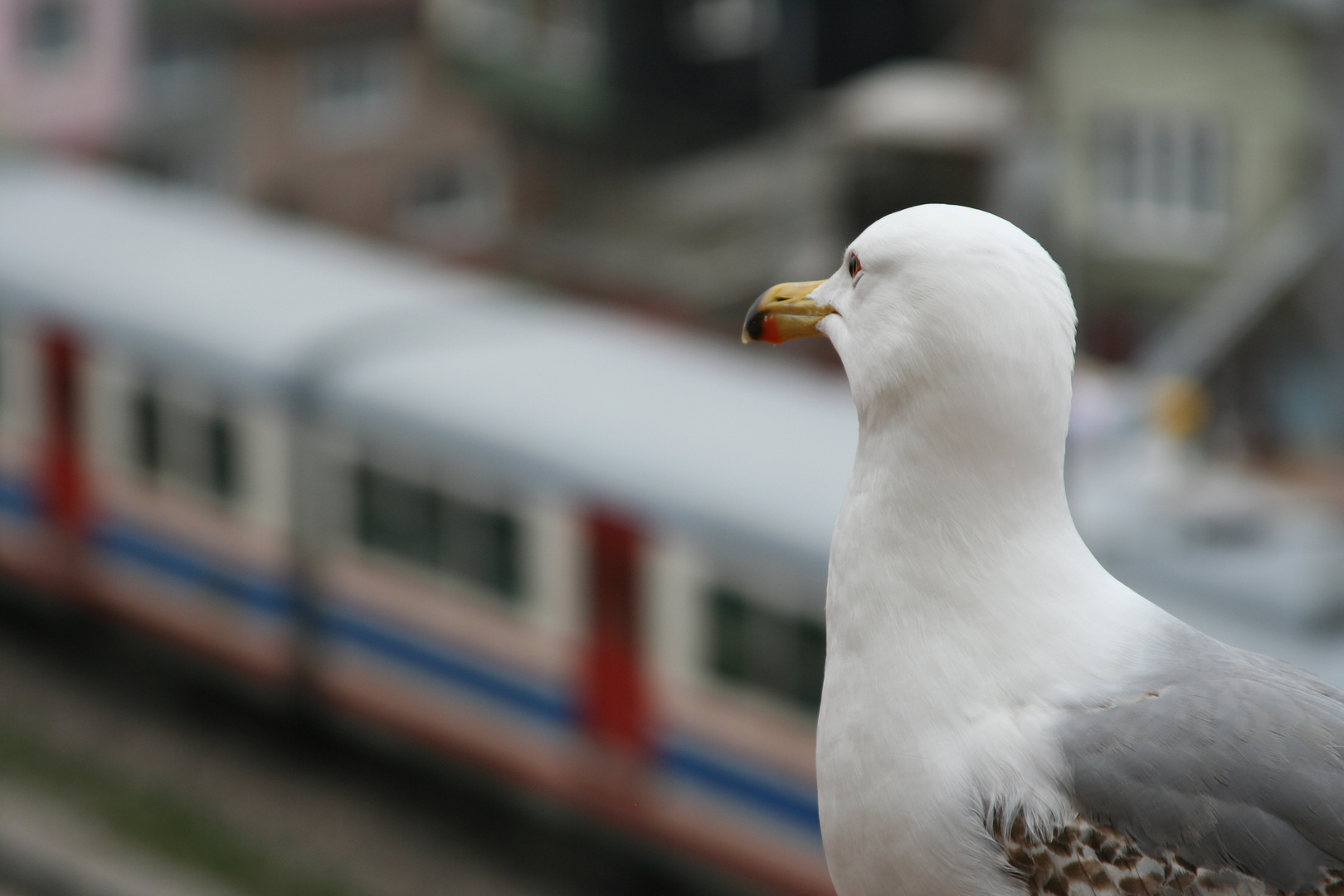 Looking at the behind of departured train