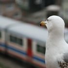 Looking at the behind of departured train