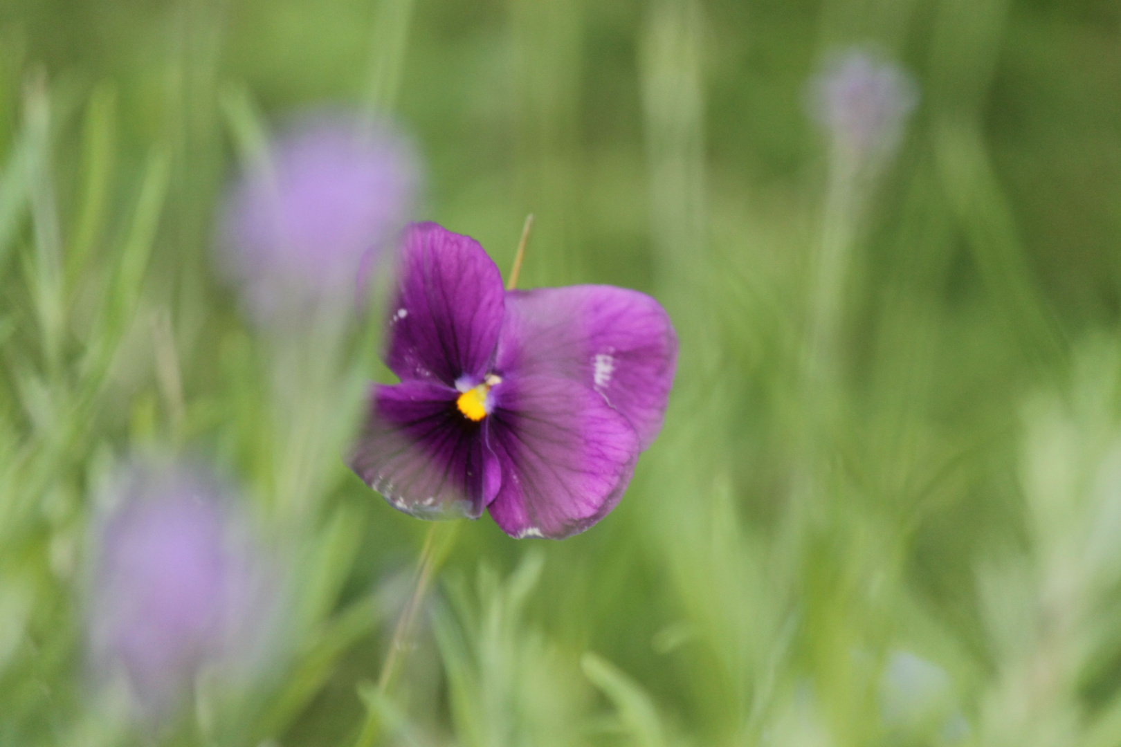 Looking beyond... finding colour