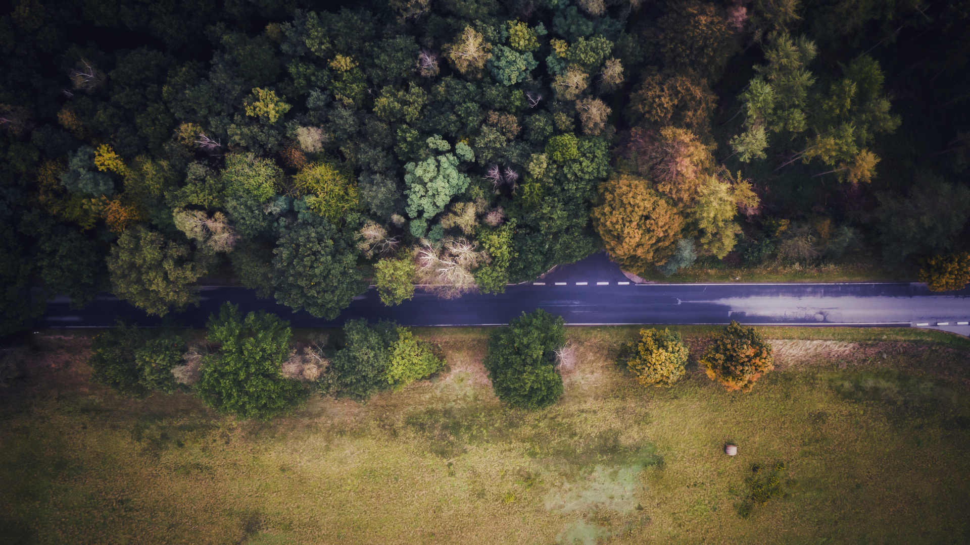 Looking down into colors of autumn