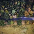 Looking down into colors of autumn