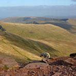 Looking east from Corn Du