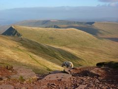 Looking east from Corn Du