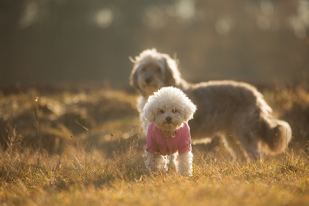 Looking for a sunny day