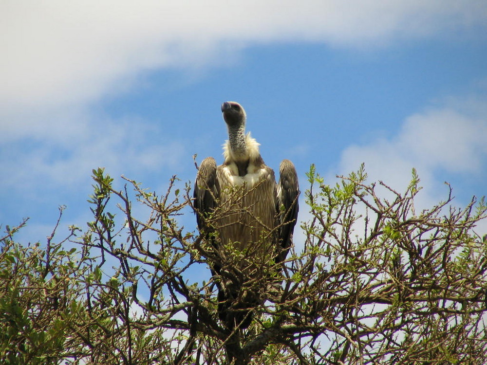 Looking for lunch??