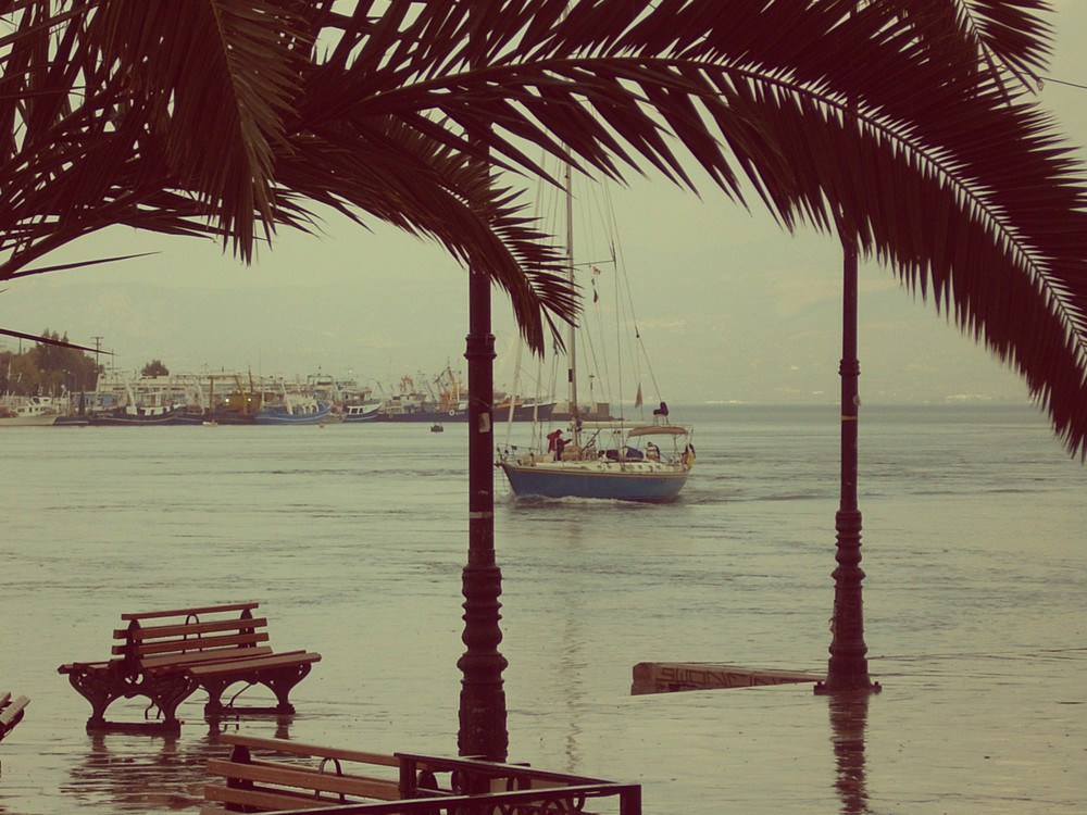 Looking for shelter in Chalkida docks