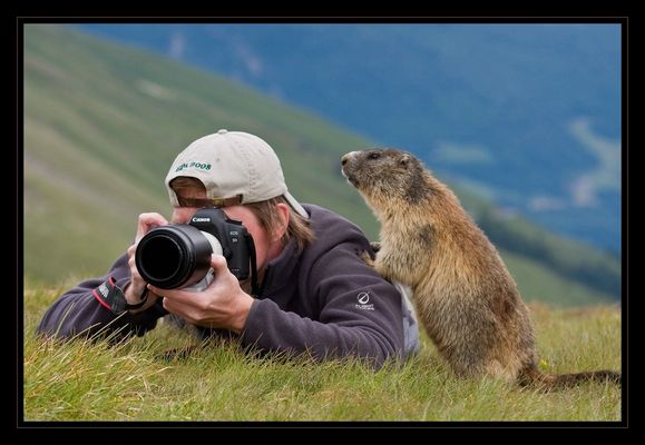 Looking for someone?