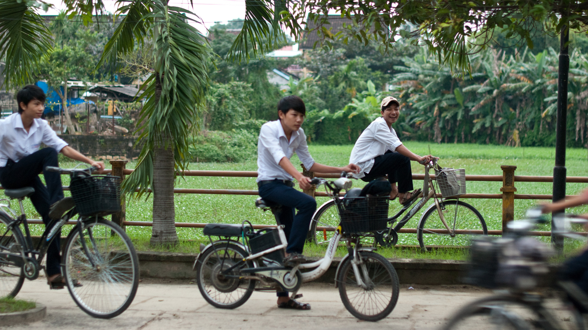 Looking for the girls à la Vietnamese