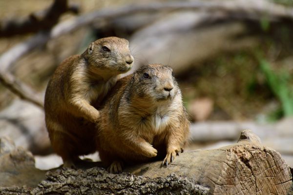 Looking forward to 2023